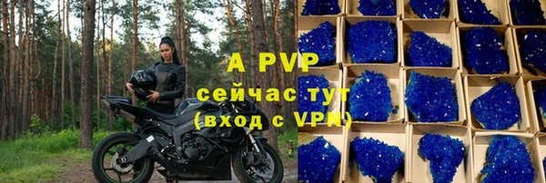 стаф Инсар