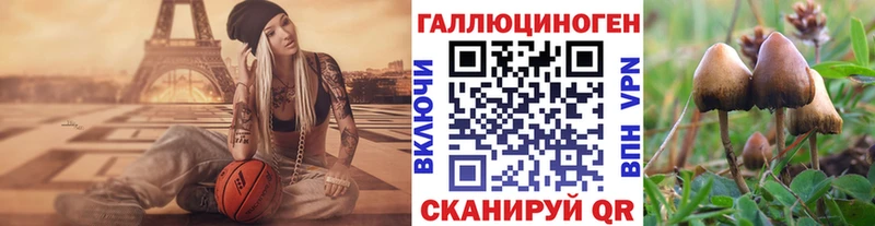 Псилоцибиновые грибы Psilocybine cubensis  Купить где  Иланский 
